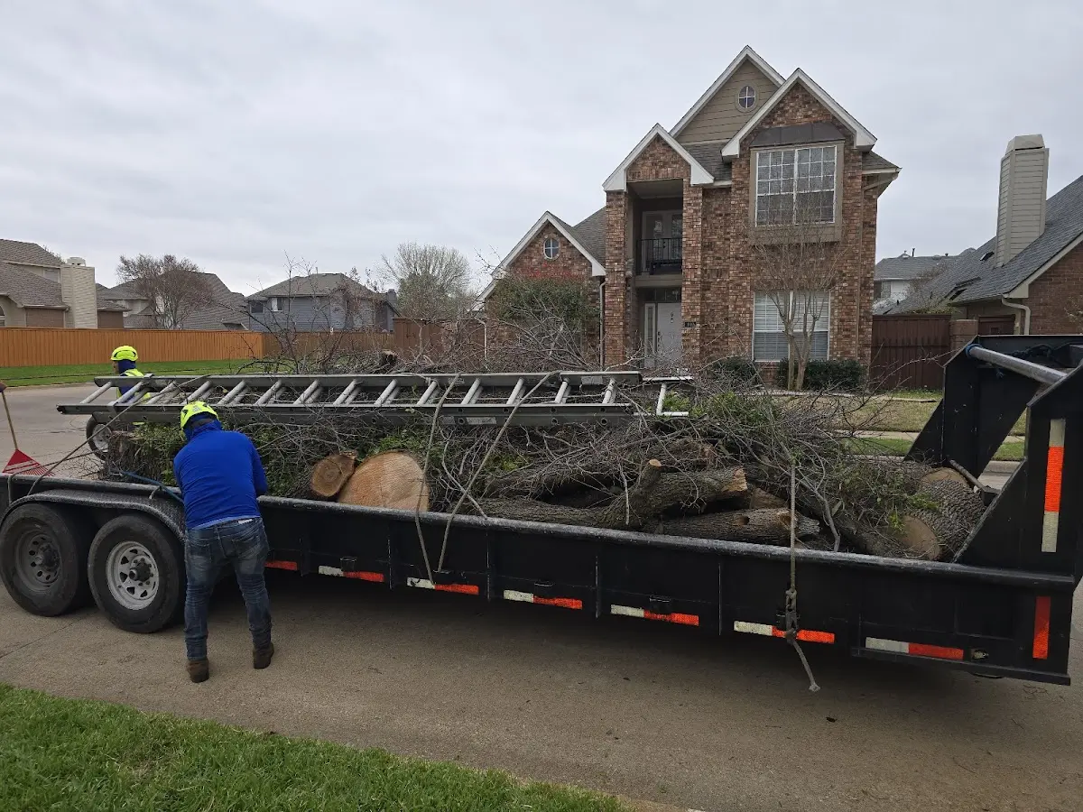 Expert Tree Fertilization with proper safety equipment in Almena